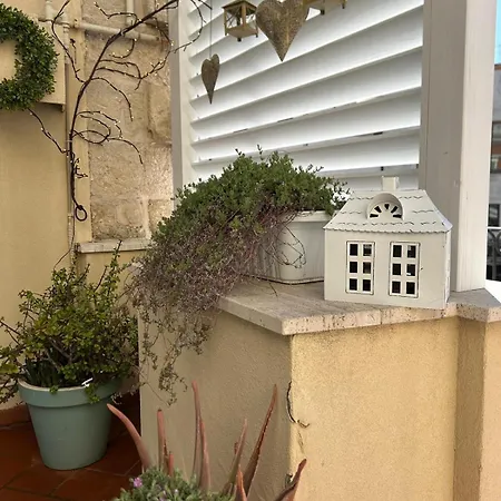 Guest house Palazzo Venezia - Luxury